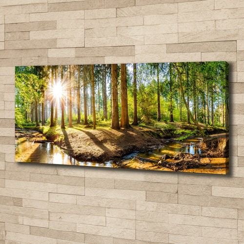 Leinwandbild kunst druck - leinwandbild, kunst-druck