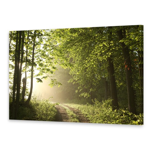 Leinwand bilder wandbild - leinwand-bilder,