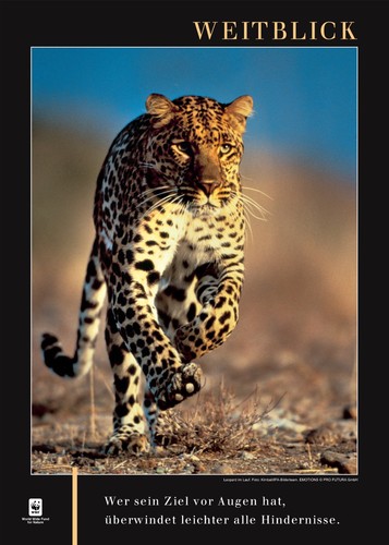 Weitblick motivation poster - weitblick,