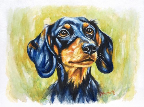 Original tierbild clyde - original,