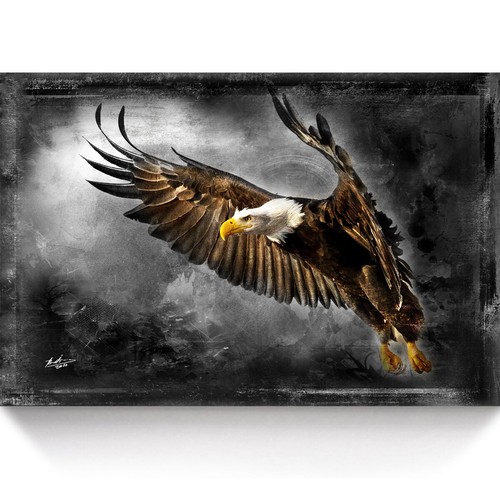 Leinwand bild adler wandbilder - bild,