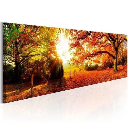 Bild auf leinwand - x, 40