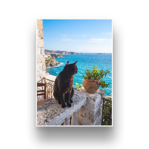 Katze meer kunstdruck a4 - kunstdruck,