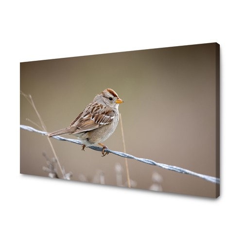 Canvas leinwandbilder xxl - leinwandbilder,