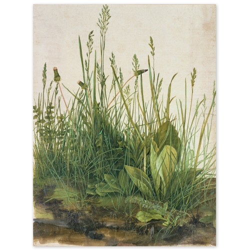 Albrecht dürer das große - albrecht, dürer,