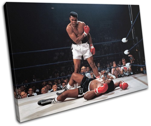 Muhammad ali boxing sonny - ali,
