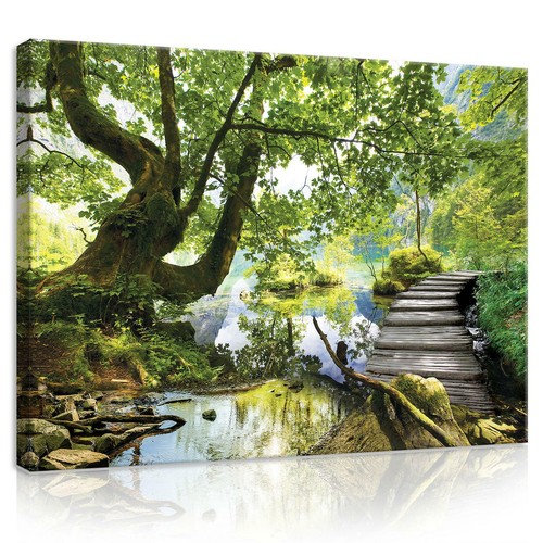 Leinwandbild bilder wandbilder - leinwandbild,